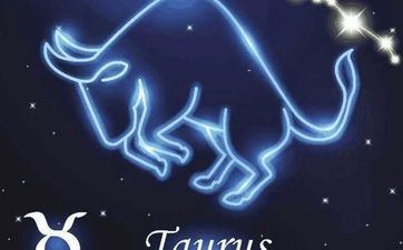 2024年金牛女的真爱星座