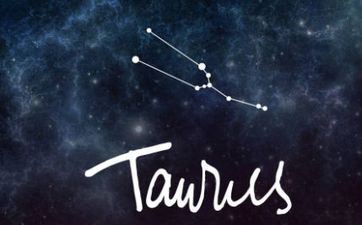 金牛座合适的工作 金牛座合适的工作有哪些