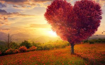 白羊座女11月桃花运运势 2023年1月白羊座桃花运运势