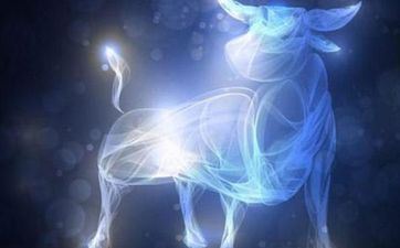 金牛女有无男票的差异