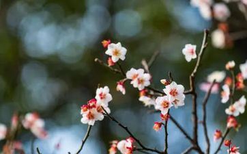 2025年3月理发好日子是哪几天