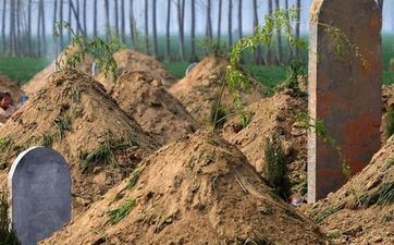 2025年5月9日阴历四月十二迁坟好吗