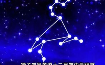 狮子男最稀罕的星座女 狮子座男偏心哪类女生