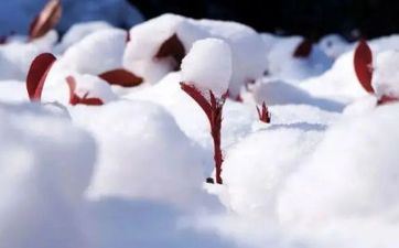 2025年3月24日搬新家入宅吉祥吗