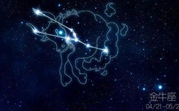 金牛座的特色是什么