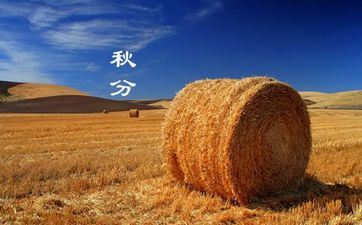 4月份哪一天适宜理发 2025年4月理发好日子 4月份哪一天适宜理发 2025年4月理发好日子