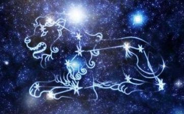 2023年11月16日狮子座运势