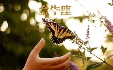 金牛座为人处事的风格