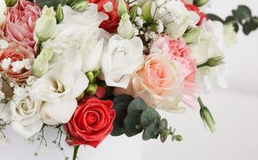 2025年8月28日挂号成婚好吗