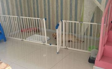 今天吉时查询 2025年阴历二月初三是安门好日子吗