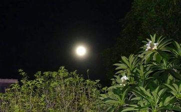 未来十天 赶开霉运的星座会有你吗