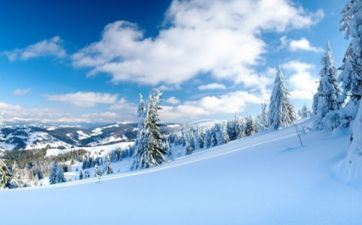 是大材小用仍是藏得太深的星座