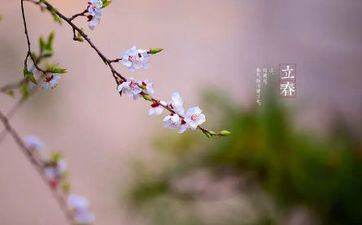 没有心计 思想单纯的星座有哪些