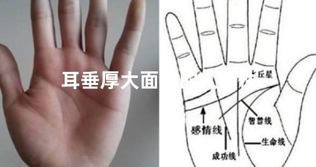 耳垂厚大面相的人特性