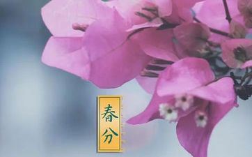 未来七天言归于好 重拾旧爱的星座