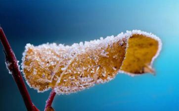 2024年最薄命的星座好大喜功压力大