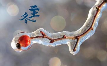 12星座的贵人老板大揭秘