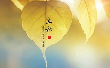 盾牌座是什么 盾牌座的基本信息