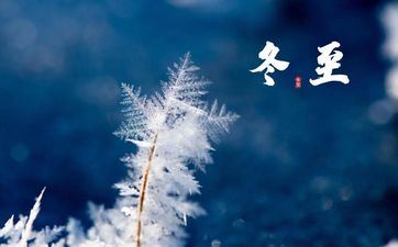 凡事精雕细镂，不做则已要做就做最好的星座