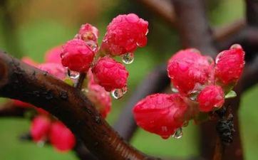 在十一月走上人生巅峰的星座