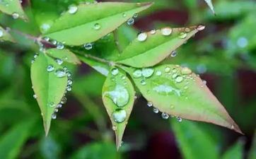 六月需求多留意的星座