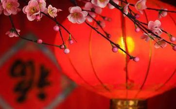 对待喜爱的人恨不能给予全世界的星座