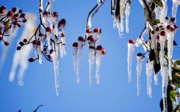 这些星座不那么自动 是由于不行喜爱你