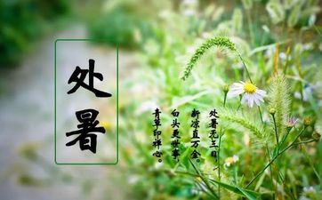 2月20日是什么星座