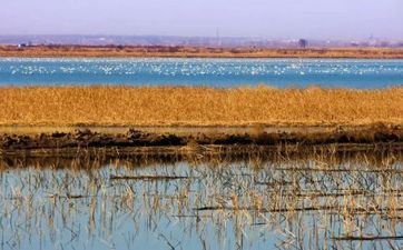 2021年贵人运比较多的星座女