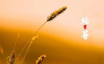 第六感超强的3大星座！他们慧眼识人 不会受骗