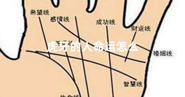 虎牙的人命运怎么