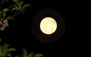 披着羊皮的狼 这些星座男最会假装