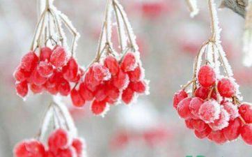 2021年12月学习运最旺的四大星座