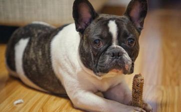 人前做一套，人后又另一套的三大星座