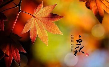 接下来成果日新月异考试运爆棚的星座