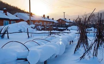 活在梦中 做什么工作都往优点想的星座