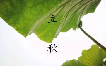 2023年会和上一任复合的3星座 有望再续前缘