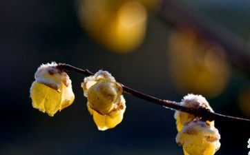 别做这些星座的情敌