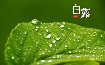 3月13日是什么星座