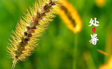 3月守得云开见月明，烦恼散失，工作上升，贵人相助的4星座