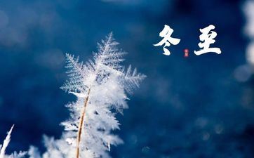 2024年哪些星座女人或许面对婚姻变故