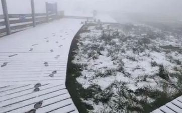 2021年12星座4月作业运和学业运