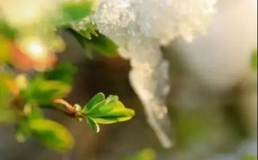 2025年换岗能找到更合适自己的作业的星座