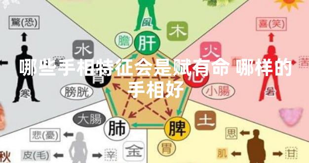 哪些手相特征会是富有命 哪样的手相好