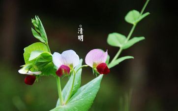 梦见自己和他人承揽鱼塘