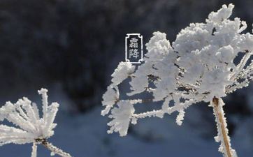 易瓜星座的四大天王有哪些特色