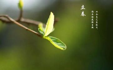 水象星座的安全感怎么获取的