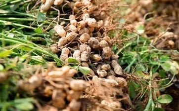 2024年最佳的星座与最差的星座