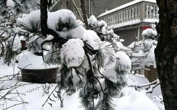 2021年建军节贵人运旺盛的四大星座