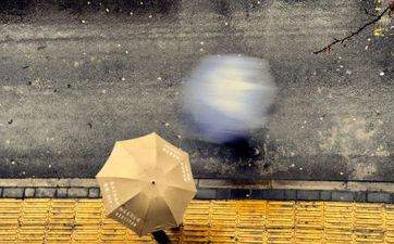 晚年最美好的三个属相女